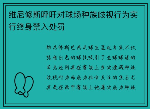 维尼修斯呼吁对球场种族歧视行为实行终身禁入处罚